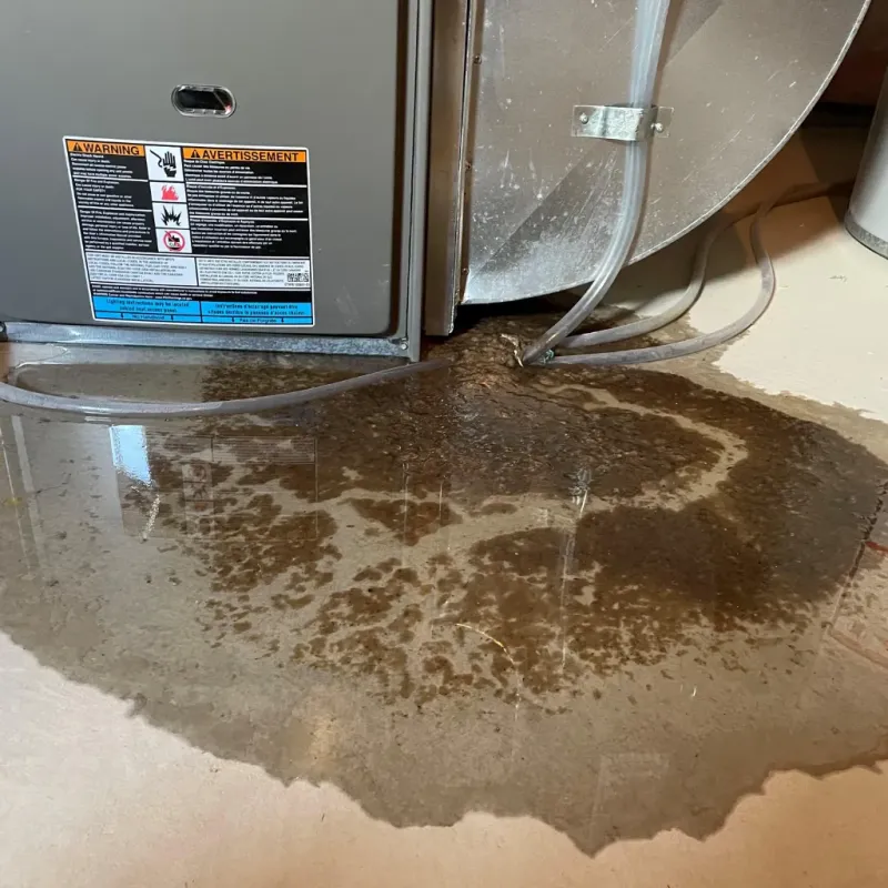 Appliance Leak Cleanup in Ryland Heights, KY