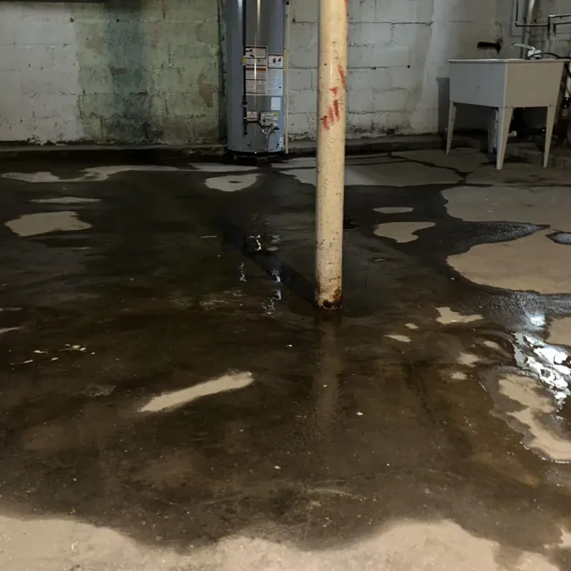 Emergency Water Extraction And Removal in Ryland Heights, KY